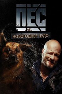 Новогодний пёс (1 сезон)